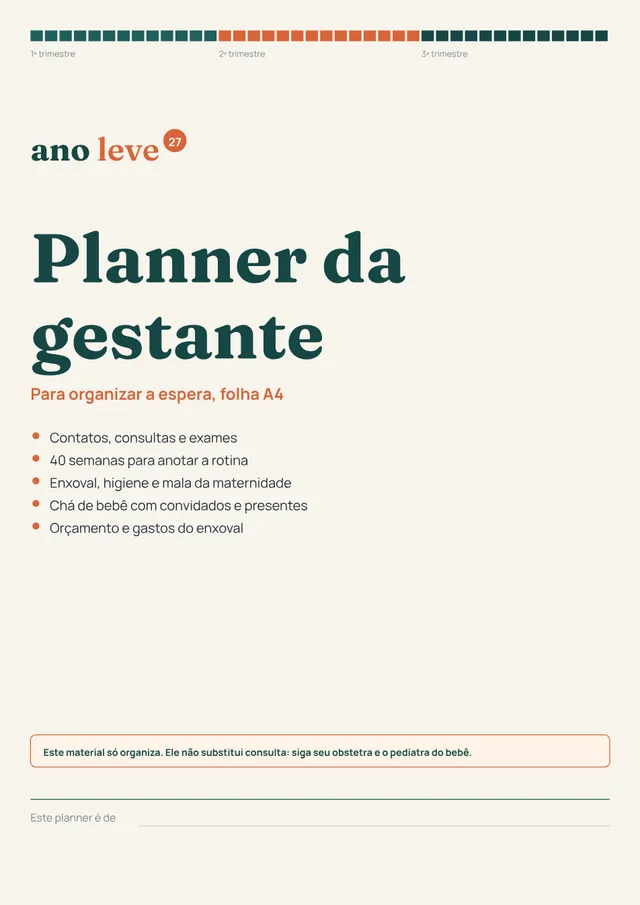 Capa: Planner da gestante